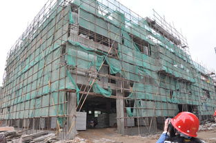 东南国际建材城2月11日施工进度简报